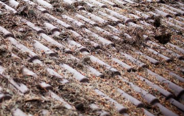 Tigh A Ghearraidh roof cleaning companies